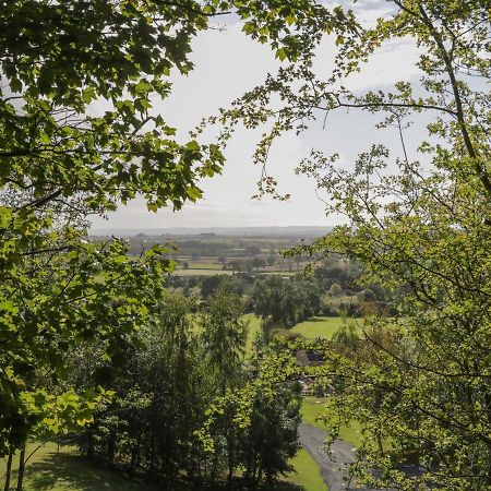 Ryedale Country Lodges - Willow Lodge York Exteriér fotografie